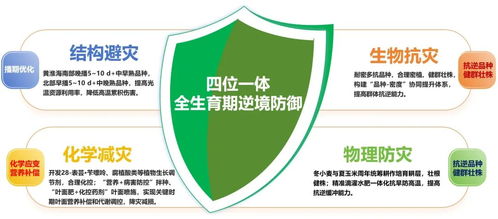 十六項(xiàng)硬核成果全景 山東農(nóng)業(yè)大學(xué)“十四五”農(nóng)業(yè)科研與試驗(yàn)發(fā)展巡禮