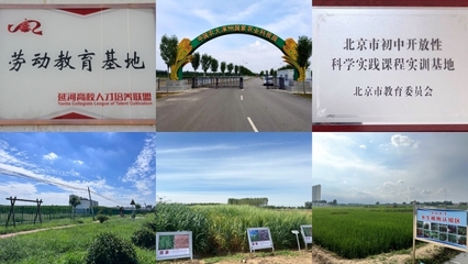 中國(guó)農(nóng)大涿州農(nóng)業(yè)科技園區(qū)入選全國(guó)科普教育基地，助力農(nóng)業(yè)科學(xué)新發(fā)展
